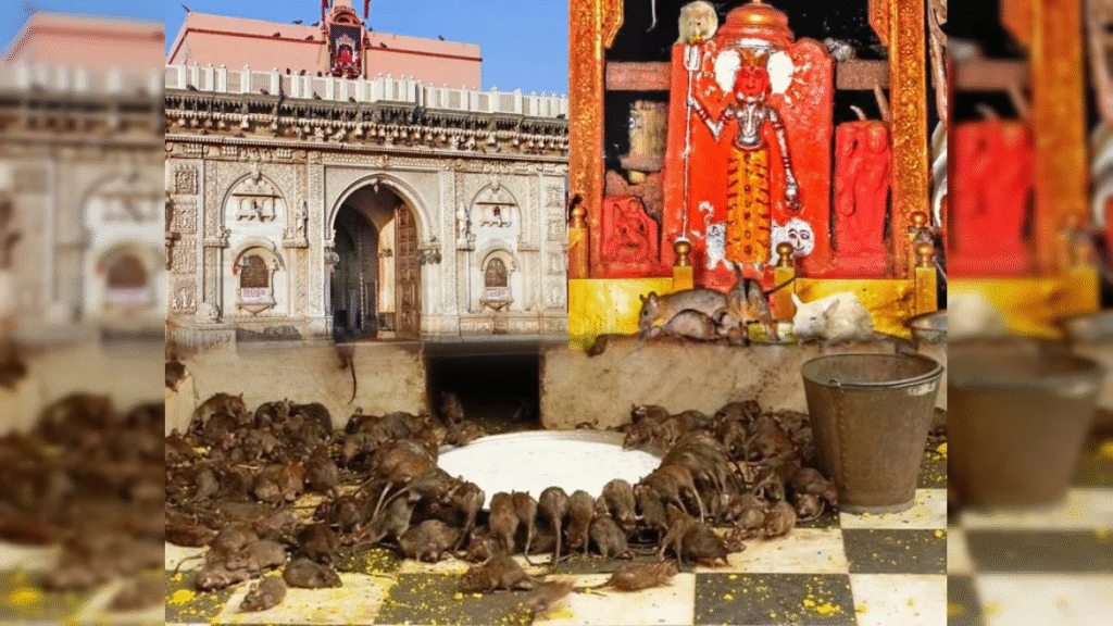 most famous temple in rajasthan